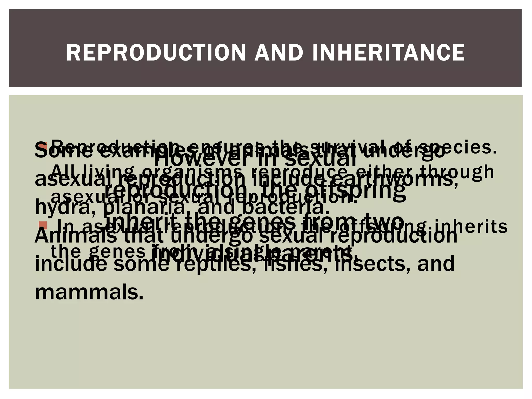Reproduction ensures the survival of species.
All living organisms reproduce either through
asexual or sexual reproduction.
 In asexual reproduction, the offspring inherits
the genes from a single parent.
REPRODUCTION AND INHERITANCE
Some examples of animals that undergo
asexual reproduction include earthworms,
hydra, planaria, and bacteria.
Animals that undergo sexual reproduction
include some reptiles, fishes, insects, and
mammals.
However in sexual
reproduction, the offspring
inherit the genes from two
individual parents.
 