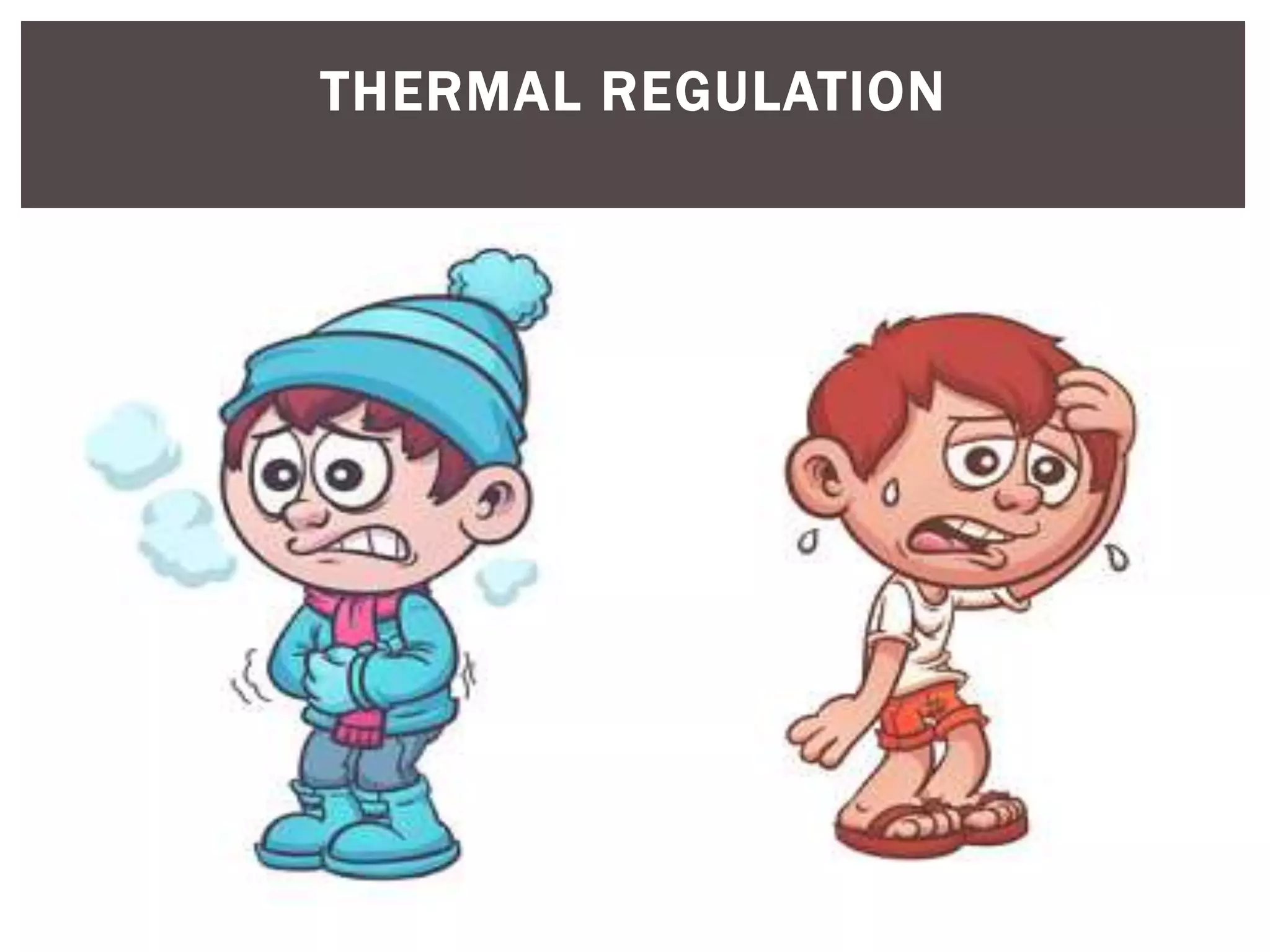 The ability of an organism to regulate their
internal conditions is called homeostasis.
THERMAL REGULATION
Humans have to maintain a body temperature
of 37 C. When the temperature outside our
bodies becomes hot, the skin cools down by
perspiration, maintaining the normal body
temperature.
 