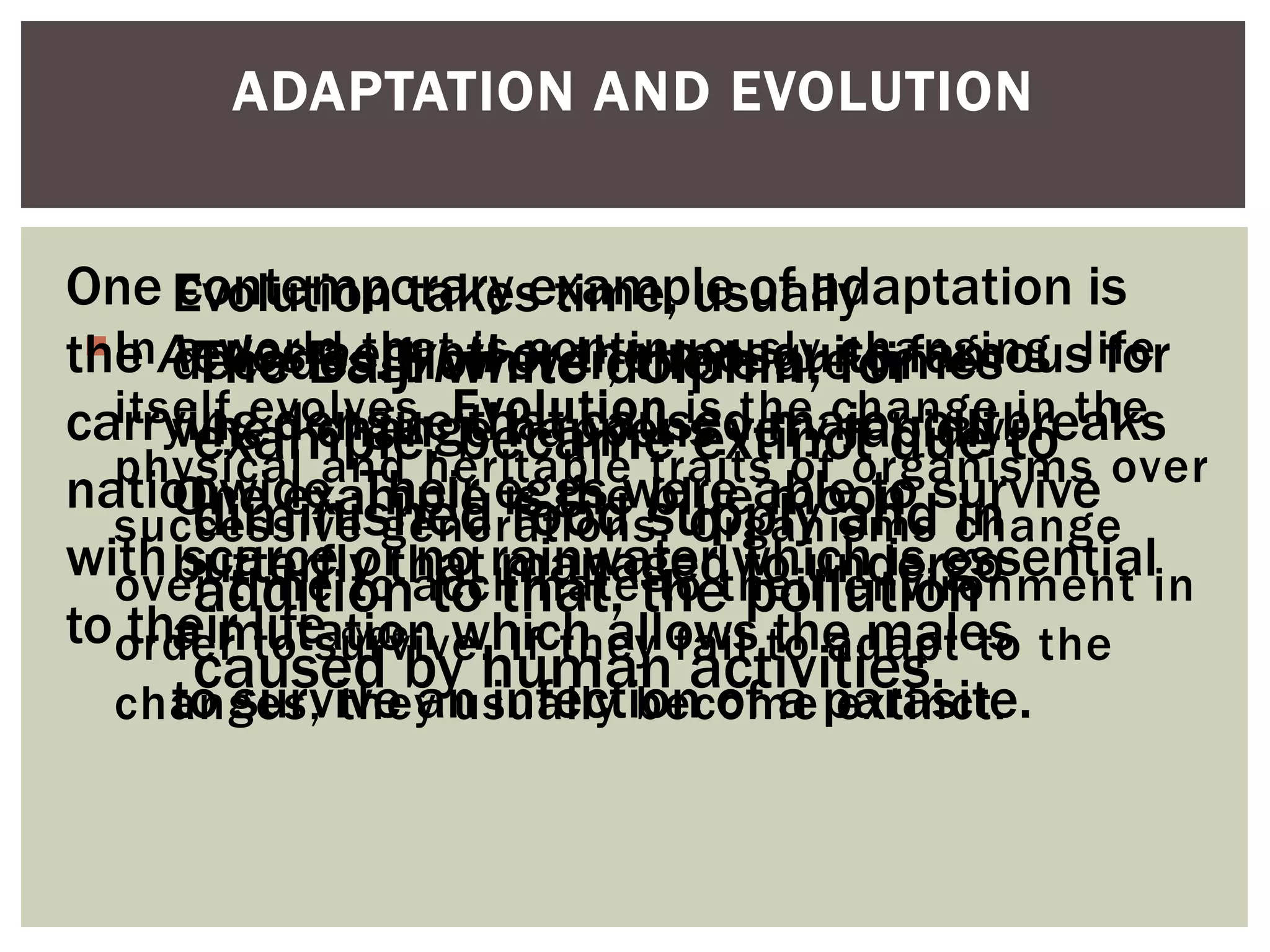 In a world that is continuously changing, life
itself evolves. Evolution is the change in the
physical and heritable traits of organisms over
successive generations. Organisms change
over time to acclimate to their environment in
order to survive. If they fail to adapt to the
changes, they usually become extinct.
ADAPTATION AND EVOLUTION
The Baiji white dolphin, for
example, became extinct due to
diminished food supply and in
addition to that, the pollution
caused by human activities.
One contemporary example of adaptation is
the Aedes aegypti or the mosquito famous for
carrying dengue that caused major outbreaks
nationwide. Their eggs were able to survive
with scarce or no rainwater which is essential
to their life cycle.
Evolution takes time, usually
decades. However, there are times
when change happens very rapidly.
One example is the blue moon
butterfly that managed to undergo
a mutation which allows the males
to survive an infection of a parasite.
 