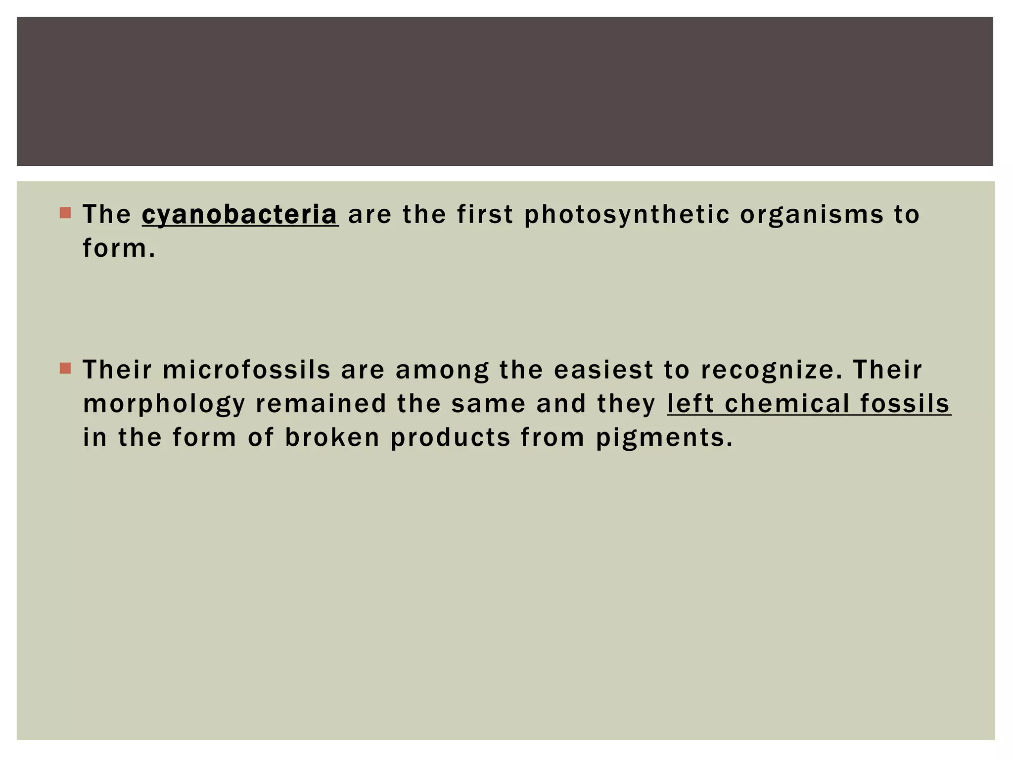  The cyanobacteria are the first photosynthetic organisms to
form.
 Their microfossils are among the easiest to recognize. Their
morphology remained the same and they left chemical fossils
in the form of broken products from pigments.
 