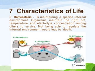 7 Characteristics of Life
5. Homeostasis - is maintaining a specific internal
environment. Organisms maintain the right ptf,
temperature and electrolyte concentration among
others to survive. Not being able to regulate the
internal environment would lead to death.
 
