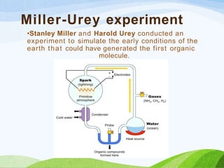 Miller-Urey experiment
•Stanley Miller and Harold Urey conducted an
experiment to simulate the early conditions of the
earth that could have generated the first organic
molecule.
 
