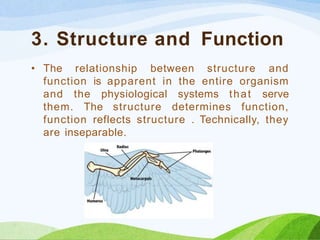 3. Structure and Function
• The relationship between structure and
function is apparent in the entire organism
and the physiological systems that serve
them. The structure determines function,
function reflects structure . Technically, they
are inseparable.
 
