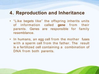 4. Reproduction and Inheritance
• “Like begets like” the offspring inherits units
of information called gene from their
parents. Genes are responsible for family
resemblance.
• In humans, an egg cell from the mother fuses
with a sperm cell from the father. The result
is a fertilized cell containing a combination of
DNA from both parents.
 