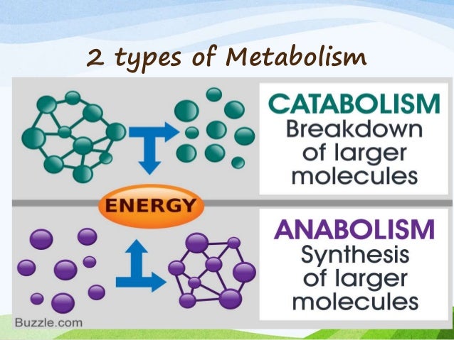 Introduction to life science