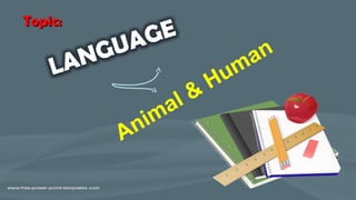 Animal &
Human
Topic:Topic:
 