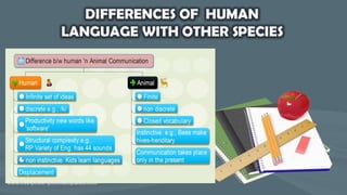 Human and Animal Language
