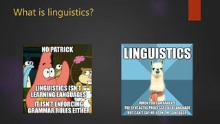 What is linguistics?
 