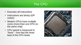 The CPU
● Executes all instructions
● Instructions are binary (OP
codes)
● Modern CPUs have multiple
cores (more than one CPU on
the same chip)
● CPU speed is measured in
“hertz” - how fast the heart
beat of the CPU beats
 