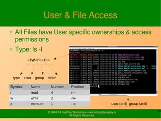 Introduction to Linux | PDF
