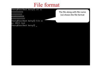File format
The file along with file name
(ss) shows the file format
 