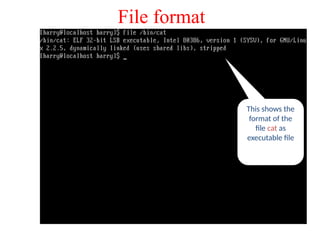 This shows the
format of the
file cat as
executable file
File format
 