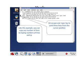 Yank
Hit escape and type 3yy to
yank three lines from the
cursor position
Like this example, you can
copy any number of lines
by typing numbers of lines
and yy
 