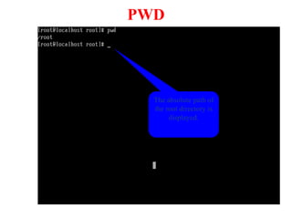 The absolute path of
the root directory is
displayed.
PWD
 