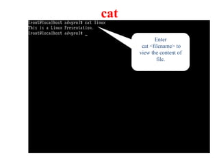 cat
Enter
cat <filename> to
view the content of
file.
 