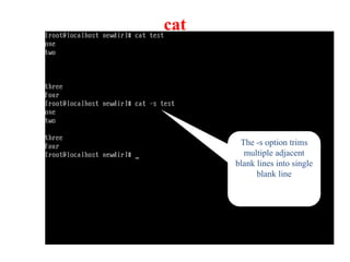 The -s option trims
multiple adjacent
blank lines into single
blank line
cat
 
