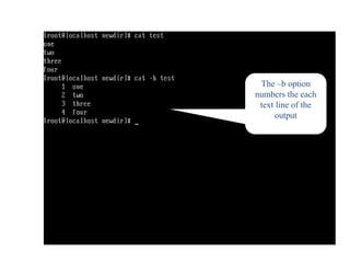 The –b option
numbers the each
text line of the
output
 