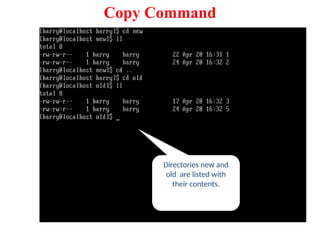 Directories new and
old are listed with
their contents.
Copy Command
 