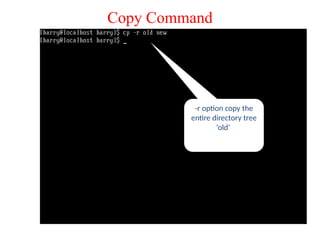 -r option copy the
entire directory tree
‘old’
Copy Command
 