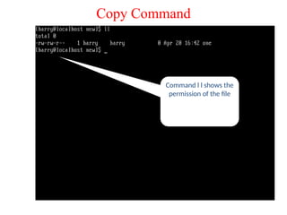 Copy Command
Command l l shows the
permission of the file
 