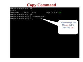 Copy Command
Now, we copy the
file one to the
directory old
 