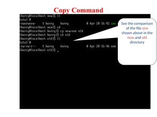 Copy Command
See the comparison
of the file one
shown above in the
new and old
directory
 