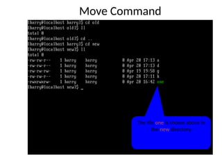 Move Command
The file one is shown above in
the new directory
 