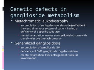 Genetic defects in
ganglioside metabolism
 Metachromatic leukodystrophy
 accumulation of sulfogalactocerebroside (sulfatide) in
the central nervous system of patient having a
deficiency of a specific sulfatase
 mental retardation, nerves stain yellowish-brown with
cresyl violet dye (metachromasia)
 Generalized gangliosidosis
 accumulation of ganglioside GM1
 deficiency of GM1 ganglioside: -galactosidase
 mental retardation, liver enlargement, skeletal
involvement
 