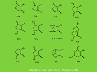 O
R1
R2
O
R1
R2
PGA PGB
O
R1
R2
PGC
R1
R2
HO
O
PGD
R1
R2
O
HO
R1
R2
HO
HO
R1
R2
O
O
PGE PGFa PGG and PGH
R2
HO
O
R1
R1
R2
O
PGJ
R1
R2
O
O
PGK
PGI
O
O
R1
R2 O
R1
R2
HO
OH
TXA TXB
SUBSTITUTION PATTERN OF PROSTANOIDS
 