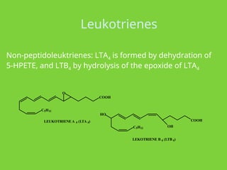 C5H11
COOH
O
LEUKOTRIENEA 4 (LTA 4)
C5H11
HO
COOH
OH
LEKOTRIENE B 4 (LTB 4)
Non-peptidoleuktrienes: LTA4 is formed by dehydration of
5-HPETE, and LTB4 by hydrolysis of the epoxide of LTA4
Leukotrienes
 