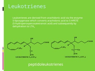 C5H11
H S
Cys
gGlu
OH
COOH
LEUKOTRIENE F4 (LTF4)
C5H11
H S
Cys
OH
COOH
Gly
gGlu
LEUKOTRIENE C4 (LTC4)
Leukotrienes are derived from arachidonic acid via the enzyme
5-lipoxygenase which converts arachidonic acid to 5-HPETE
(5-hydroperoxyeicosatetranoic acid) and subsequently by
dehydration to LTA4
peptidoleukotrienes
Leukotrienes
 