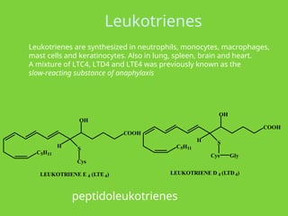 C5H11
H S
Cys
OH
COOH
LEUKOTRIENE E 4 (LTE4)
C5H11
H S
Cys
OH
COOH
Gly
LEUKOTRIENE D 4 (LTD4)
Leukotrienes are synthesized in neutrophils, monocytes, macrophages,
mast cells and keratinocytes. Also in lung, spleen, brain and heart.
A mixture of LTC4, LTD4 and LTE4 was previously known as the
slow-reacting substance of anaphylaxis
peptidoleukotrienes
Leukotrienes
 