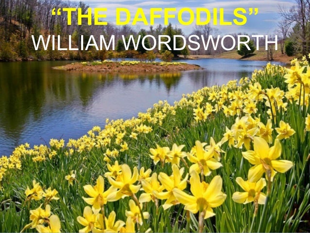 poem daffodils by william wordsworth central idea
