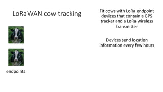 LoRaWAN cow tracking
endpoints
Fit cows with LoRa endpoint
devices that contain a GPS
tracker and a LoRa wireless
transmitter
Devices send location
information every few hours
 