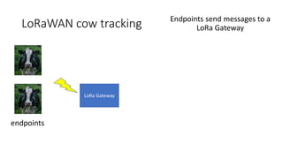 LoRaWAN cow tracking
endpoints
LoRa Gateway
Endpoints send messages to a
LoRa Gateway
 