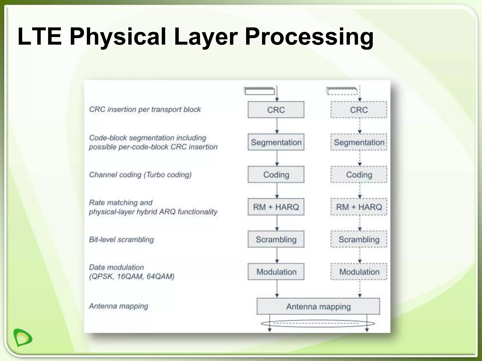 LTE Physical Layer Processing
 