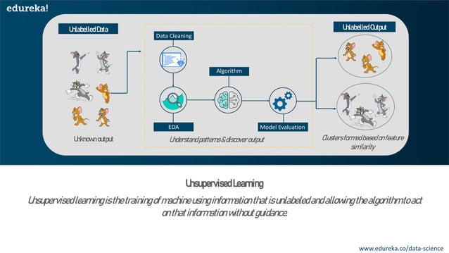 Introduction To Machine Learning | Edureka