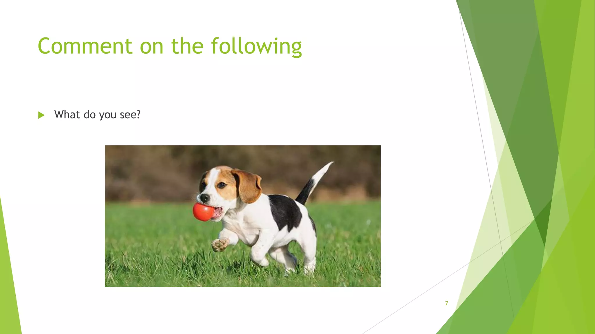 Comment on the following
7
 What do you see?
 