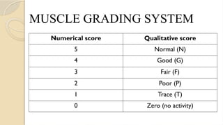MUSCLE GRADING SYSTEM
Numerical score Qualitative score
5 Normal (N)
4 Good (G)
3 Fair (F)
2 Poor (P)
1 Trace (T)
0 Zero (no activity)
 