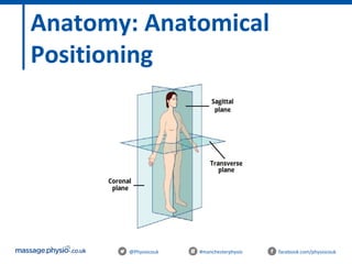 @Physiocouk #manchesterphysio facebook.com/physiocouk
Anatomy: Anatomical
Positioning
 