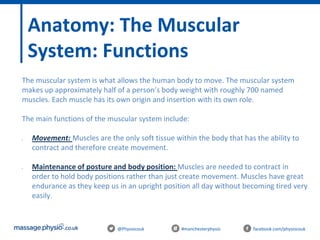 @Physiocouk #manchesterphysio facebook.com/physiocouk
Anatomy: The Muscular
System: Functions
The muscular system is what allows the human body to move. The muscular system
makes up approximately half of a person’s body weight with roughly 700 named
muscles. Each muscle has its own origin and insertion with its own role.
The main functions of the muscular system include:
• Movement: Muscles are the only soft tissue within the body that has the ability to
contract and therefore create movement.
• Maintenance of posture and body position: Muscles are needed to contract in
order to hold body positions rather than just create movement. Muscles have great
endurance as they keep us in an upright position all day without becoming tired very
easily.
 