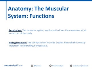 @Physiocouk #manchesterphysio facebook.com/physiocouk
Anatomy: The Muscular
System: Functions
- Respiration: The muscular system involuntarily drives the movement of air
in and out of the body.
- Heat generation: The contraction of muscles creates heat which is mostly
important in controlling homeostasis.
-
 