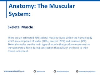 @Physiocouk #manchesterphysio facebook.com/physiocouk
Anatomy: The Muscular
System:
Skeletal Muscle
There are an estimated 700 skeletal muscles found within the human body
which are composed of water (70%), protein (23%) and minerals (7%).
Skeletal muscles are the main type of muscle that produce movement as
they generate a force during contraction that pulls on the bone to then
create movement.
 