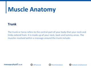 @Physiocouk #manchesterphysio facebook.com/physiocouk
Muscle Anatomy
Trunk
The trunk or torso refers to the central part of your body that your neck and
limbs extend from. It is made up of your neck, back and tummy areas. The
muscles involved within a massage around the trunk include:
 