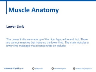 @Physiocouk #manchesterphysio facebook.com/physiocouk
Muscle Anatomy
Lower Limb
The Lower limbs are made up of the hips, legs, ankle and foot. There
are various muscles that make up the lower limb. The main muscles a
lower limb massage would concentrate on include:
 