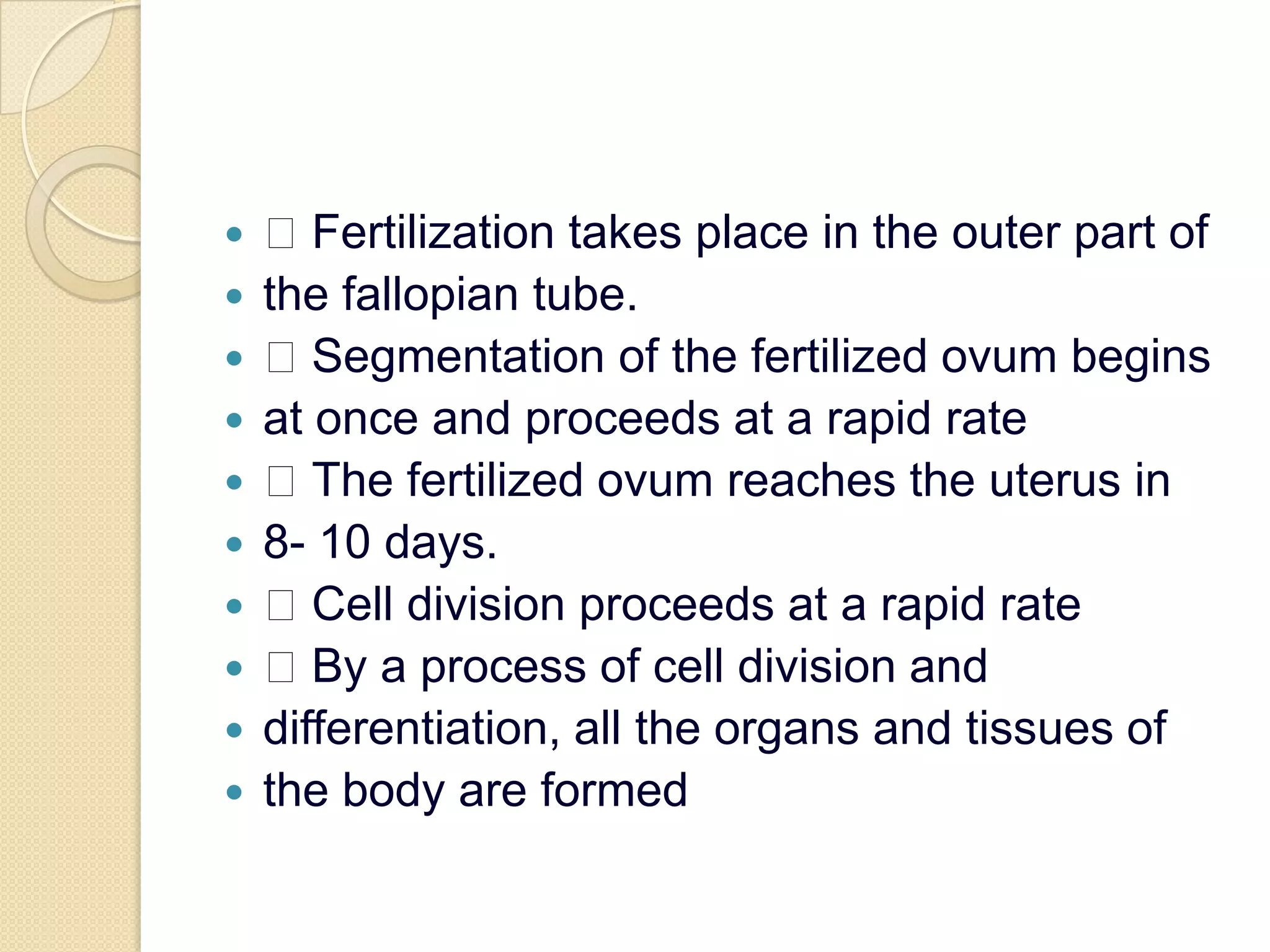  Fertilization takes place in the outer part ofthe fallopian tube. Segmentation of the fertilized ovum beginsat once and proceeds at a rapid rate The fertilized ovum reaches the uterus in8- 10 days. Cell division proceeds at a rapid rate By a process of cell division anddifferentiation, all the organs and tissues ofthe body are formed