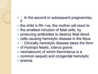  In the second or subsequent pregnancies, ifthe child is Rh +ve, the mother will react tothe smallest intrusion of fetal cells, byproducing antibodies to destroy fetal bloodcells causing hemolytic disease in the fetus Clinically hemolytic disease takes the formof Hydropsfetalis, icterus gravisneonatorum( of which Kernicterus is acommon sequel) and congenital hemolyticanemia