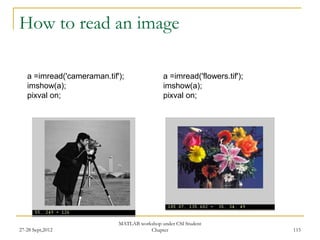 How to read an image

   a =imread('cameraman.tif');               a =imread('flowers.tif');
   imshow(a);                                imshow(a);
   pixval on;                                pixval on;




                            MATLAB workshop under CSI Student
27-28 Sept,2012                        Chapter                           115
 