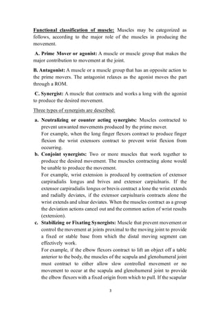 Muscle Testing Classification Introduction to maual muscle test(1).pdf