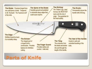 Parts of Knife
 